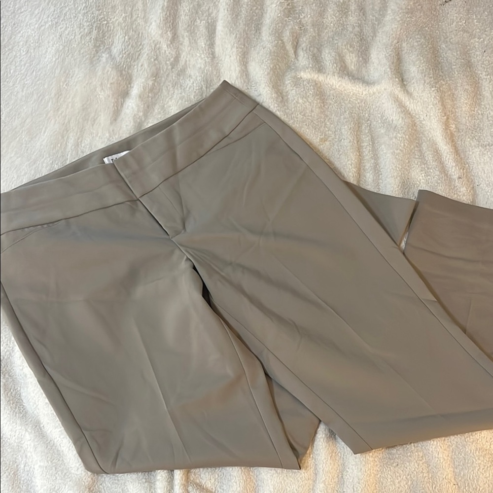 Elegant Taupe Women's Pants